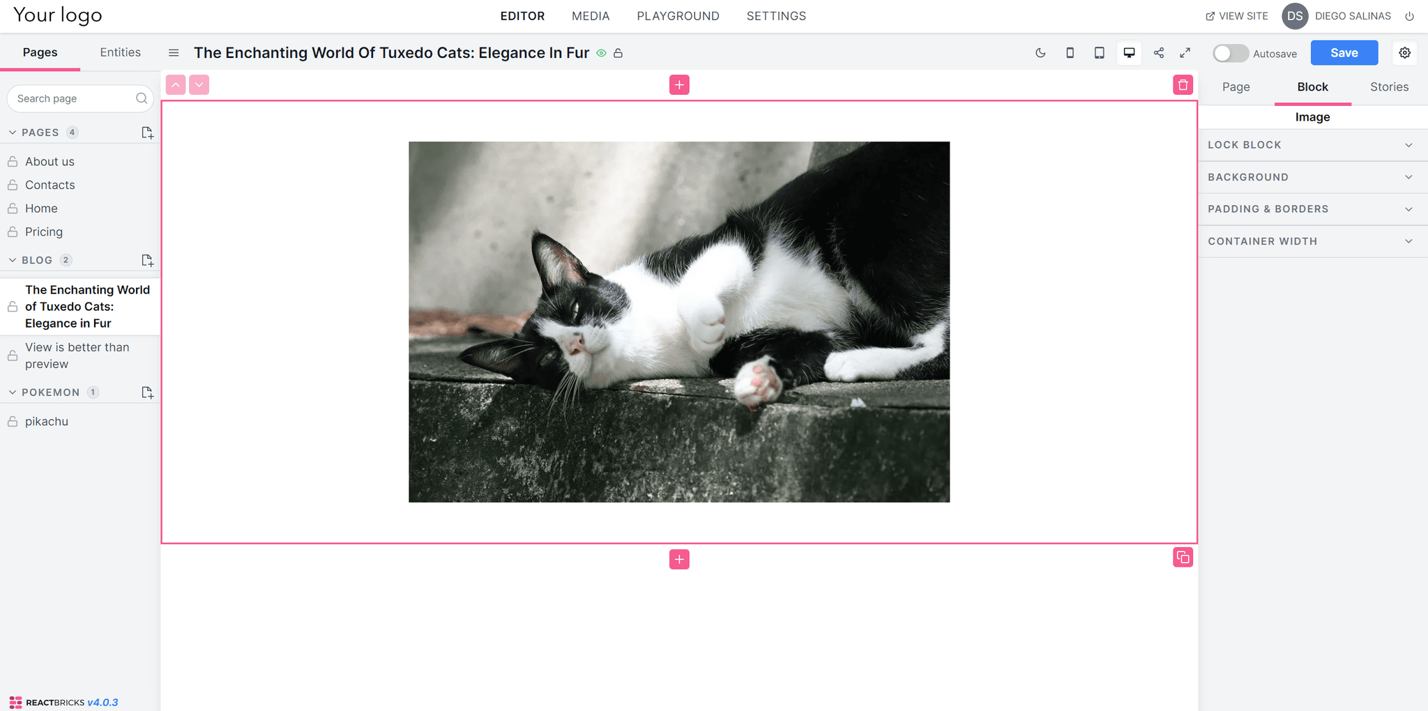 add image - React Bricks add image