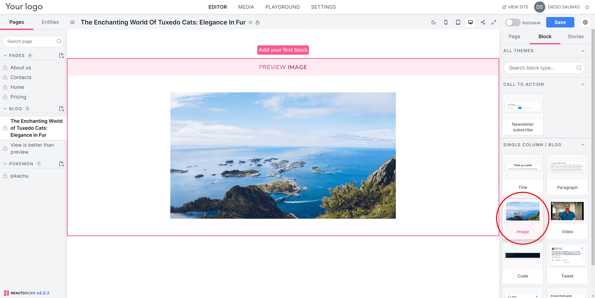 add image - React Bricks add image